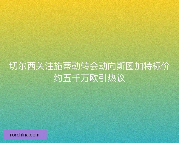 切尔西关注施蒂勒转会动向斯图加特标价约五千万欧引热议
